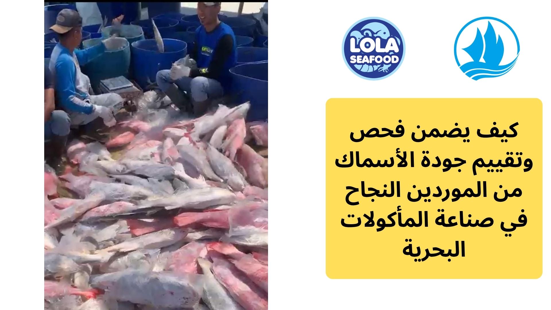 كيف يضمن فحص وتقييم جودة الأسماك من الموردين النجاح في صناعة المأكولات البحرية